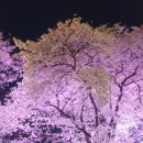임고면-양평리-4