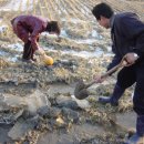 탁장사마을 이미지