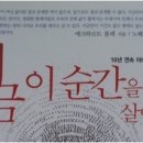 비베호디에 이미지