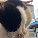 뚱땅뚱땅 이미지