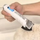 반려동물 셀프미용 | 셀프미용 초보도 가능한 바론 반려동물 바리깡 후기 ✂️