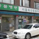 영중동물병원 이미지