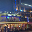 노을과바다 | 조개구이,회,새우구이 맛집 추천 | 픽업 서비스에 반려동물 동반까지 되는 '노을과바다' 내돈내산 후기