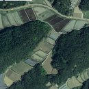 양지-3538 이미지