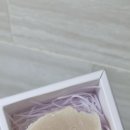 펫더가든 네이버블로그