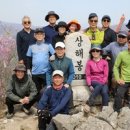오시라