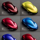 칼라하우스 이미지