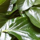 청성초교 병설유치원 이미지