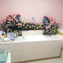 한마음펫 이미지