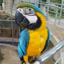 경주버드파크 이미지