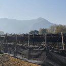인산인력