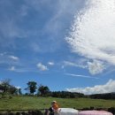 봉덕목장 이미지