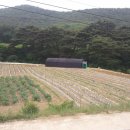 처음농장 이미지