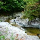 송이용소 이미지