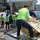 성남축산 이미지