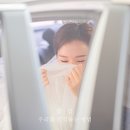 뉴꽃섬