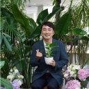 올리브플라워 - 8704 | 올리브플라워