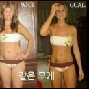 PT전문 레몬 이미지