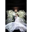 바이헤세드 이미지