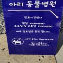 아리 동물병원 이미지