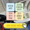 구봉마을5단지 | 대전변기막힘 잘 뚫는 업체 관저동 구봉마을 5단지 치약