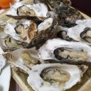 인디언짐 이미지