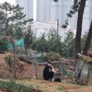 상화농장 이미지