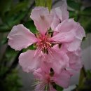 꿈을꾸는행정사사무소 이미지