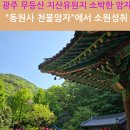동원사 | [부처님 오신날 기도여행] 광주 무등산 지산유원지 ‘동원사’ 천불암자 방문 후기