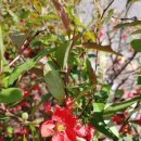 홈플러스 시계탑 앞 이미지