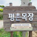 평촌목장 이미지