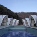 더 라이온 글램핑 이미지