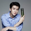 비비그루밍 이미지