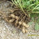 김정기 농장 이미지