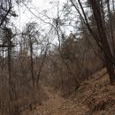 영명사 입구 이미지