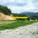 알프스하우스펜션 이미지