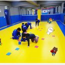 용인대덕양유도관 이미지