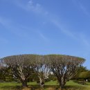 유엔기념공원주차장 이미지