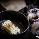 개스토랑 이미지