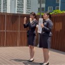 딜라이트 이미지