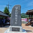 영산신씨 초당공파 Daum카페