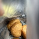 만두장성 | 노원 도깨비시장 맛집 만두장성 찹쌀도너츠 후기