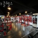 미라클헬스 이미지