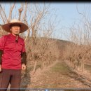 인비농장 이미지