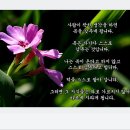 젝스키스-사나이가는길 이미지