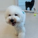 루루호텔 이미지