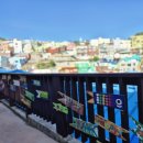 몽이와 키다리 이미지