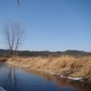 [번개]1월8일(토요당일) - 창녕 우포늪 생태탐방도보여행 이미지