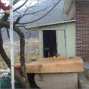 경산주유소