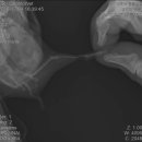 아쿠아동물병원 이미지